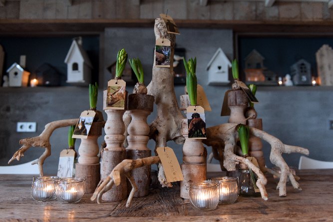 Wil jij weten hoe je zo’n prachtige tafelschikking kunt stylen? Kijk op onze website: kookstudiosimpel.nl