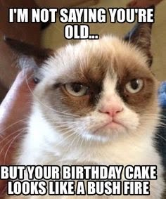 jkgrindeldore's tweet photo. 🎈🎈🎈🎉🎉🎉😂😂😂😂😂😊😊😊😂😂😂😂😂 @MercyMeRB https://t.co/uPoOmjMDWO