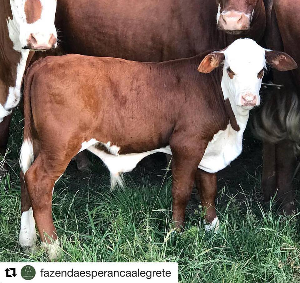 Borá lá que a segunda-feira já começou e a semana promete!!! Bom dia #ondacarabranca!