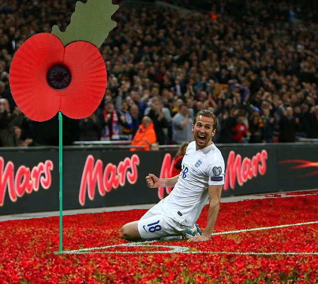 RT if you think FIFA should allow the England match against Germany to be played on a pitch of poppies with giant poppies for corner flags.
