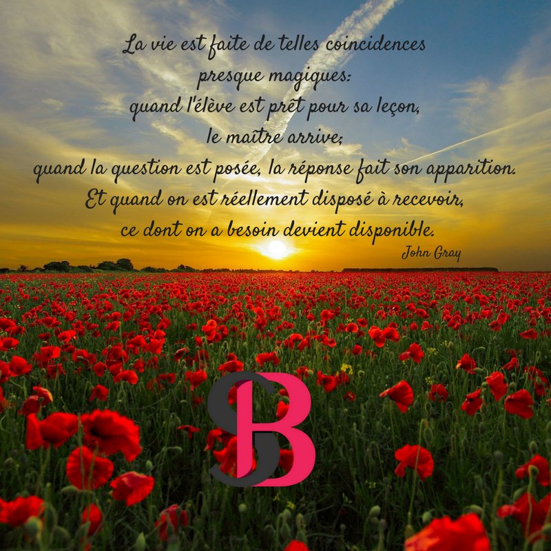 #quote #objectifs #lifestyle #lifecoach #Coaching #PNL #SB #positivity #motivate #better #happyday #positivethinking #happiness #lifequotes