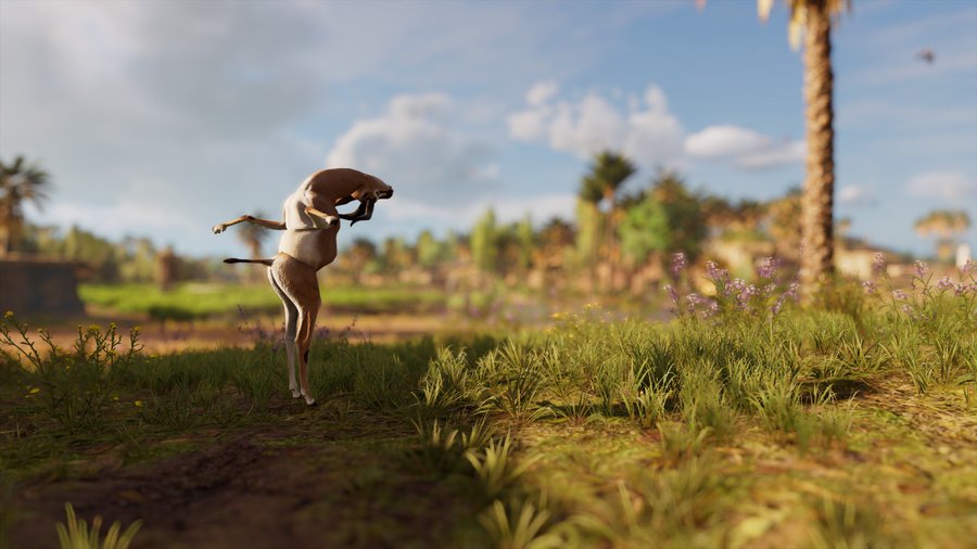 アサシン クリード オリジンズ にて奇妙なバグの発見報告が相次ぐ 仁王立ちのかわいいワニや 高速回転しながら浮遊する帆船 Automaton