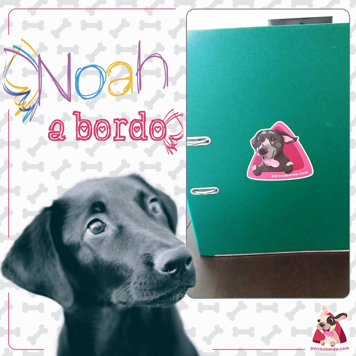 Buenos días!
Nos hace ilu ver como no solo tenéis nuestras pegatinas en el coche sinó que van con vosotros donde sea!
Hoy os traemos a Noah!