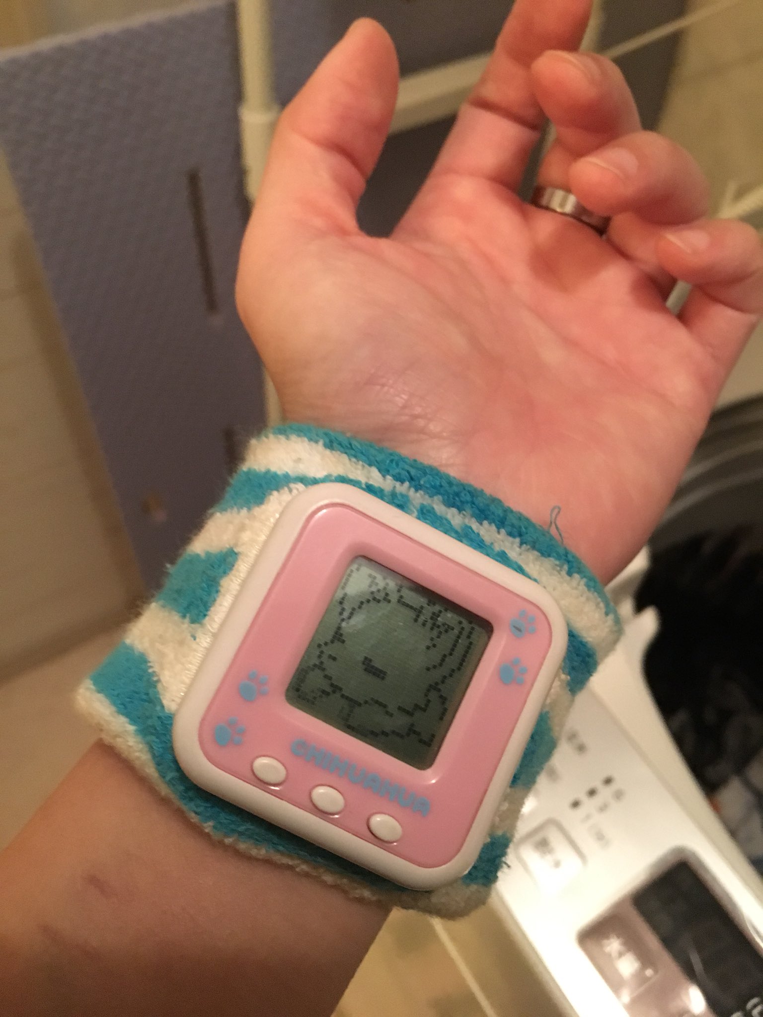 ある リストわんこ 誰か知ってる人いる リストバンドに小さなゲーム機を付けていつでも犬と一緒 みたいなやつ 芸とかゲームとか占いがあるの 03年のやつだから 私と同世代の女の子は知ってるかな これ めっちゃハマってやり込んでたんだよね ある リストわんこ 誰か知ってる人いる リストバンドに小さなゲーム機を付けていつでも犬と一緒 みたいなやつ 芸とかゲームとか占いがあるの 03年のやつだから 私と同世代の女の子は知ってるかな これ めっちゃハマってやり込んでたんだよね
