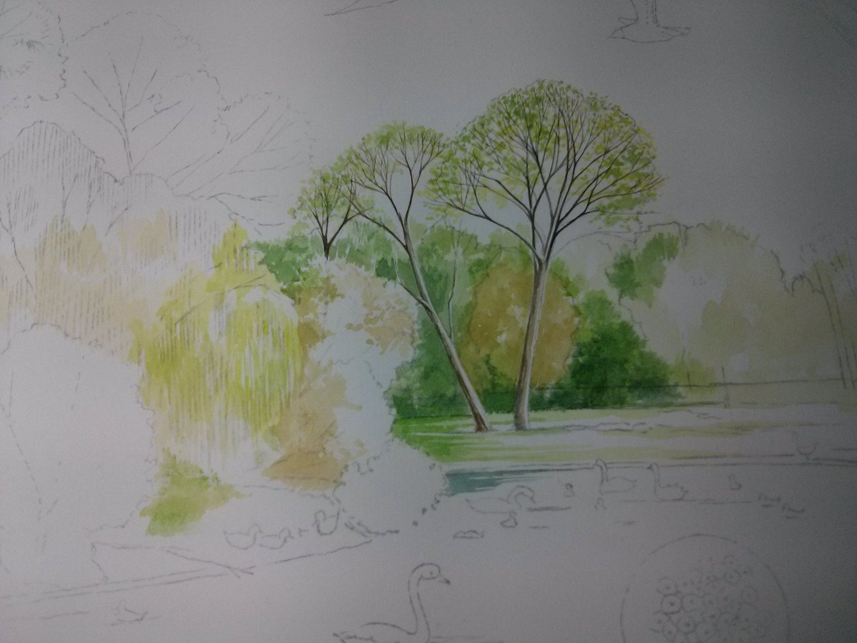 foartist's tweet photo. Start of a new #interpretationboard for #CutteslowPark #Oxfordshire &amp; @OxfordCity #interpretationboard  #wildlife #illustration #watercolour https://t.co/SIFV09va10