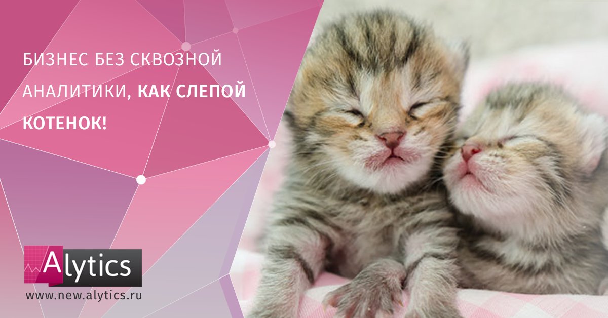 alytics's tweet image. Узнай, как внедрить сквозную аналитику с помощью Alytics на new.alytics.ru 
#alytics #usealytics