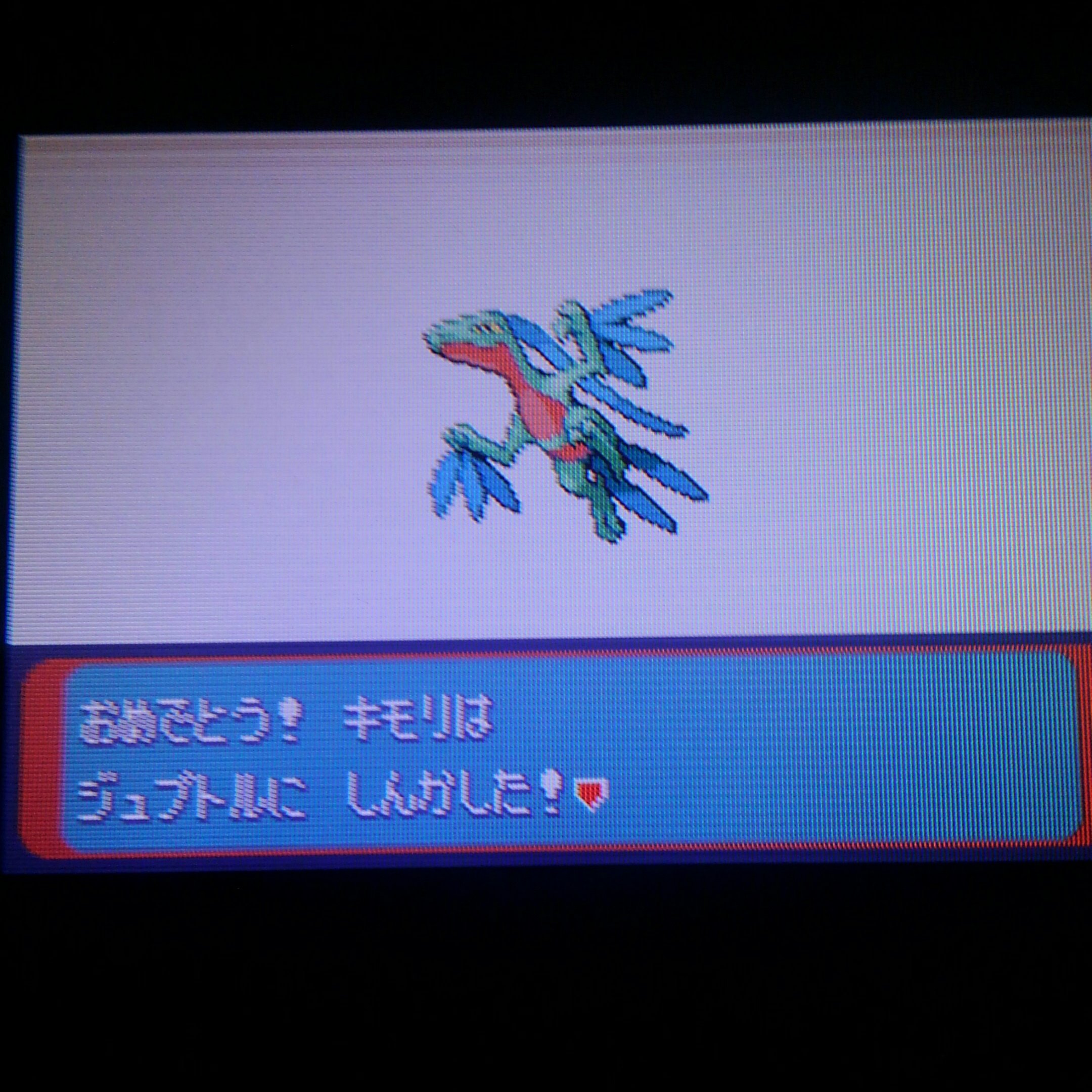 すてみタックル ポケモンエメラルド日記2日目 新たな仲間キノココとラルトスが仲間になり カナズミジムへ挑戦の末勝つことが出来ました さらに キモリがジュプトルに進化 次は アクア団イベントからですねヽ ノ レベルup ジュプトルlv11 16