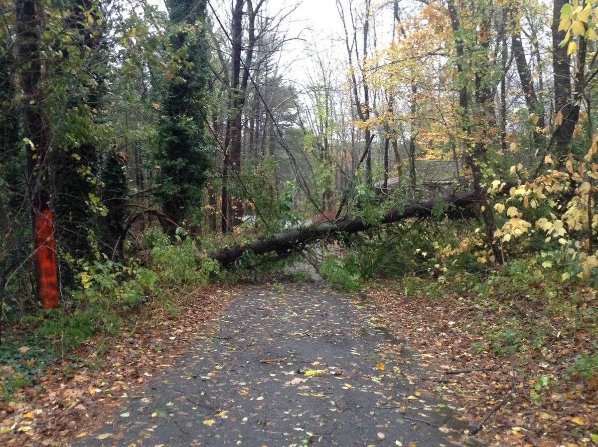 A few photos from the aftermath of the storm on 10/29-10/30.