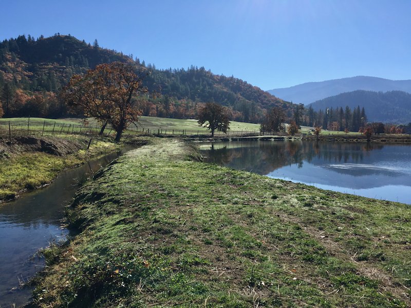 JohnTomelevage's tweet photo. Beautiful #farm #land #realestate in #grantspass #oregon - HD video coming soon! #roguevalleyvideo https://t.co/oDQKwtYF29
