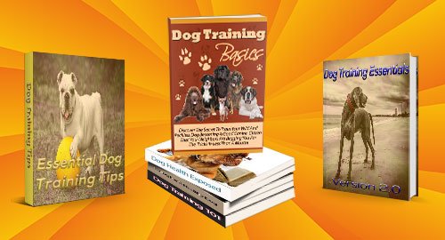 DaisyDogBlog's tweet image. Limited Time Only! 50% Off The Ultimate Dog Training Package.  Positively train your dog today bit.ly/2pViRi9