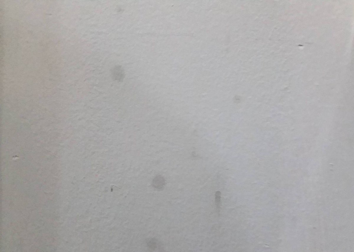 DustFreeCorpNYC's tweet photo. Got #cookingoil on your #flatpainted #kitchenwalls? Get tips on how to remove it! https://t.co/k62eVm5Un1 #DustFreeCorp @DoItYourselfcom https://t.co/J6fmlObiaj