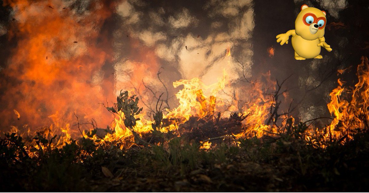 #Sad news from #California. #Kids should know more about #dangers of #wildifres &amp; we'll help them! #firesafety #edu ow.ly/fzio30geaAz