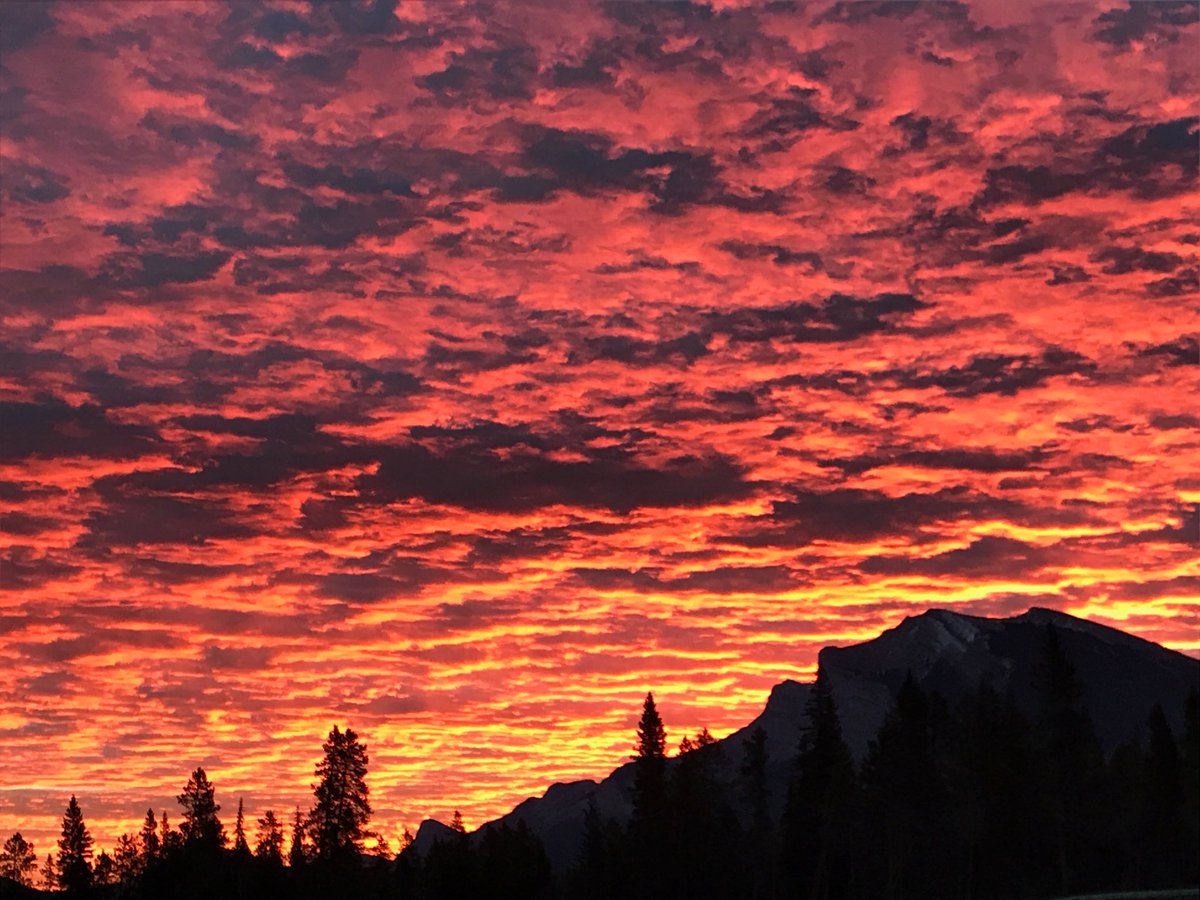 #loveyyc