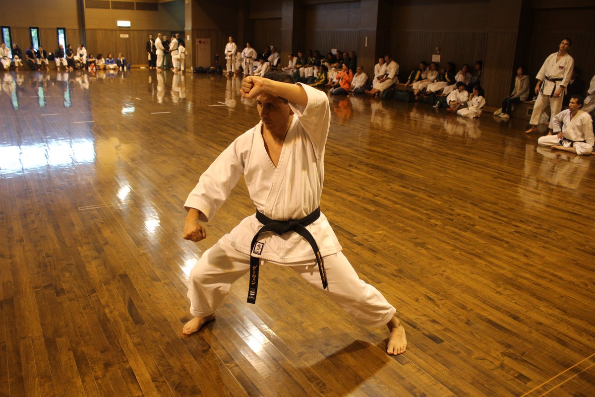 SHOWAKAIKWF's tweet photo. #DarwinRojassensei #sochinkata #art #japan #hokkaido #showakaikwf #showakaikaratedo #budo #karatevenezuela #karatechile #karateusa https://t.co/1FJeXONkoB