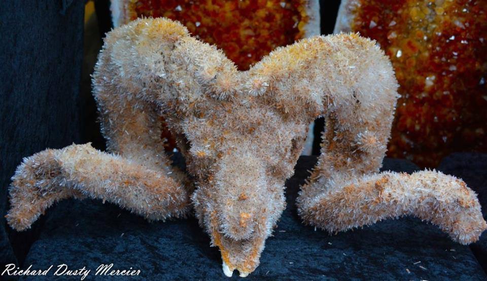 Geology Tweets tweet media