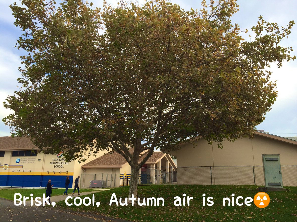 MandyjMurphy's tweet photo. #RCSDchampions https://t.co/CpkLn6sokh