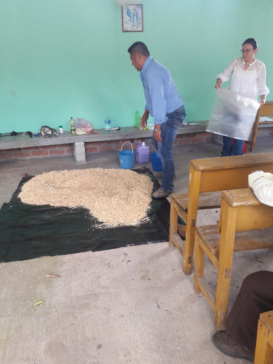 MarisolArregui2's tweet photo. Capacitación elaboración de cebo, reduce costos de producción y menor aplicación de insecticidas, Las Canoas. @DesdeGto  @Bettyvaz2 https://t.co/uJhfl02yYn