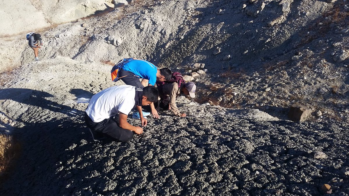 alfpaleo's tweet photo. Our honors paleo class had their Peccary trip this weekend in Barstow. They found great fossils which will go into our research collection https://t.co/yP7Yzgjnrb
