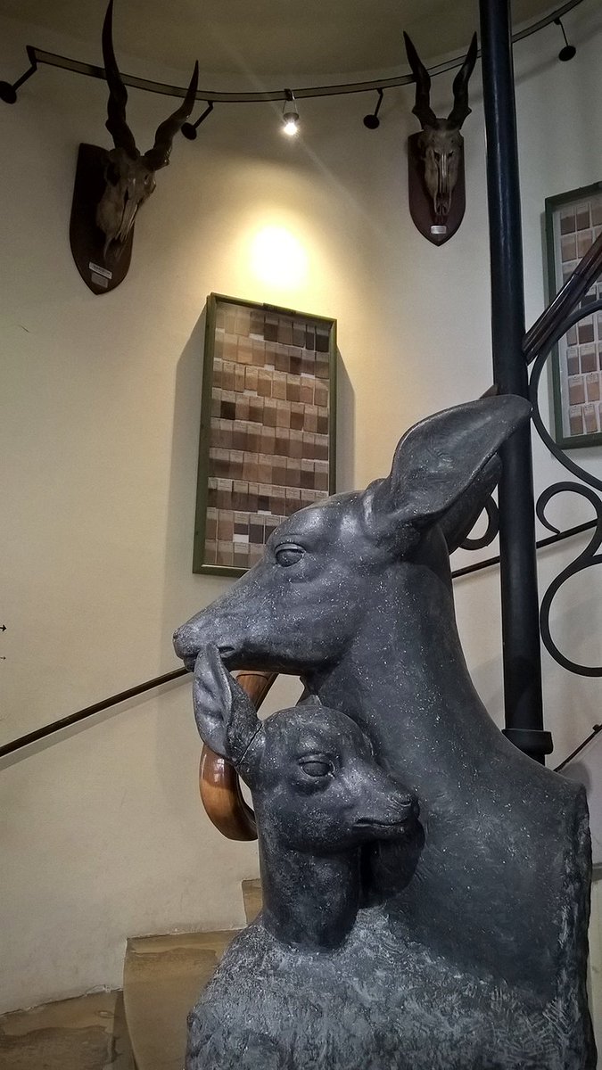 RMM_Rouen's tweet photo. On remercie @LCN_TV pour ce reportage sur le @MuseumDeRouen à l'occasion de l'ouverture de galerie des Amériques ! https://t.co/sHUBvaKPrN https://t.co/Kr3hWggbgh