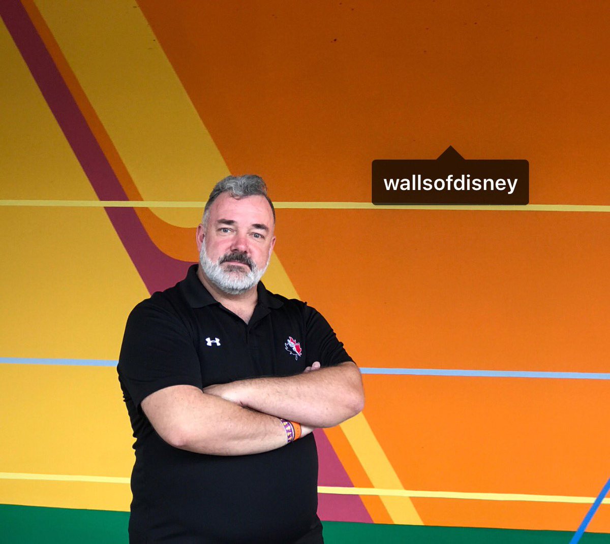 AdideShon's tweet image. I hit the #motherlode of#Disneywalls #wallsofdisney #fruthrollupwall