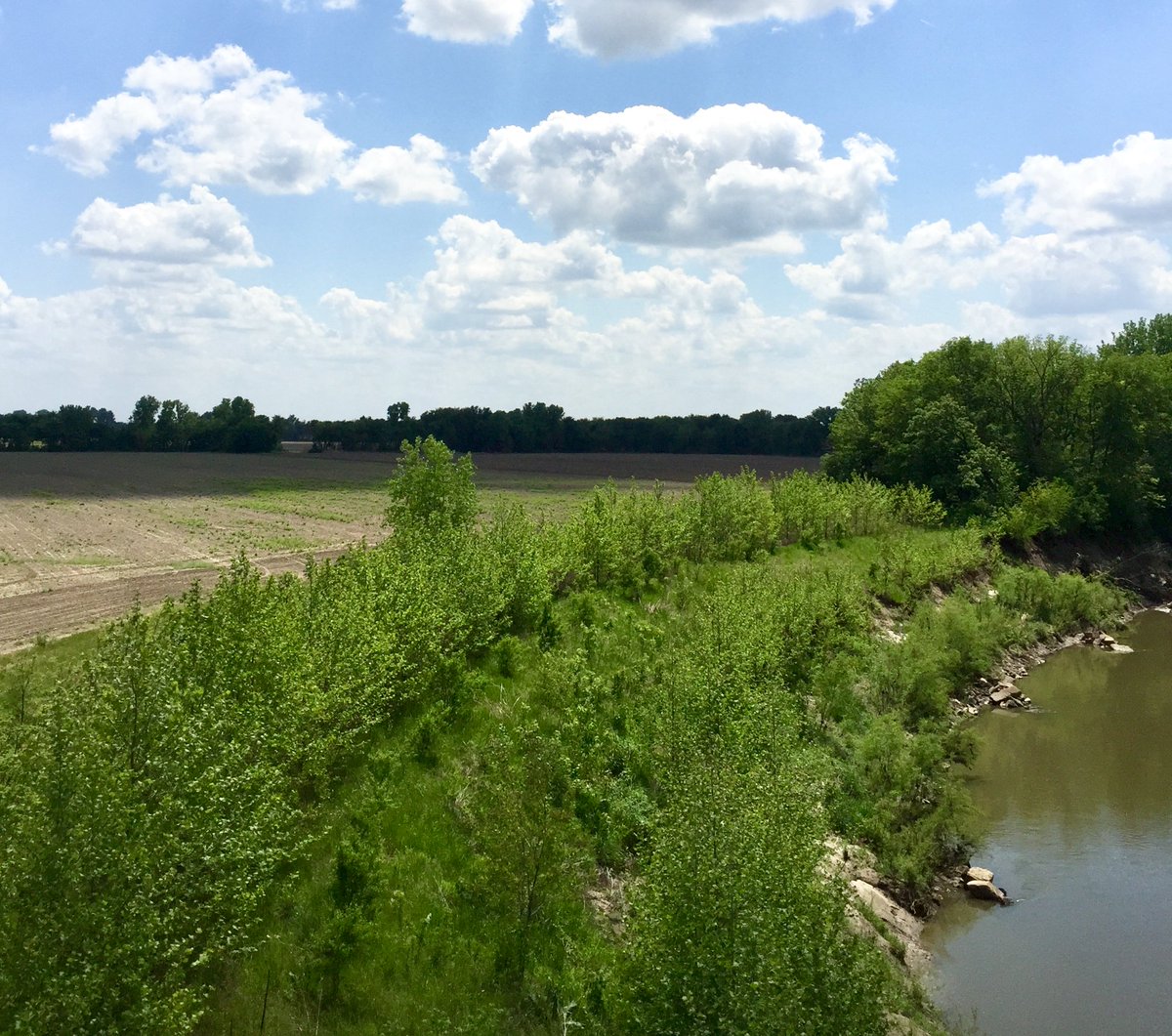 Andy4Klein's tweet photo. Happy #BatWeek! #StreambankStabilization #RiparianForestBuffers protect #streambanks & create great bat habitat! https://t.co/egam9g5lH4 https://t.co/8ss0rvUvW7