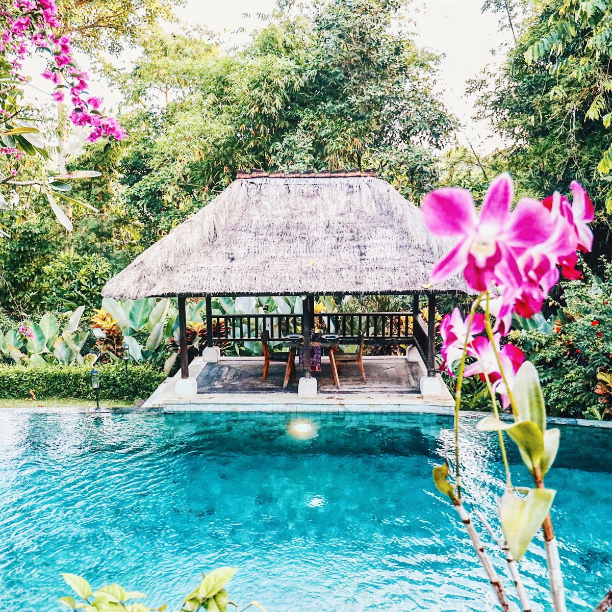 💙 this secret hideaway in the middle of Canggu forest, only disturbed by the twitter of birds, the humming of crickets <a href="/PlataranResorts/">Plataran Indonesia</a>