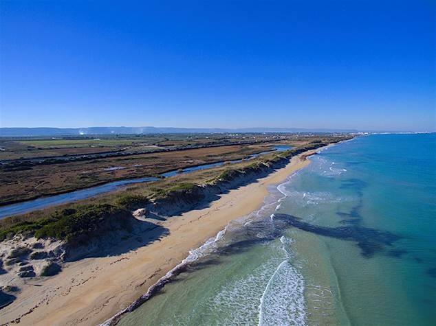 viaggiarepuglia's tweet photo. 🌊 Da 5 mila anni questo cordone di dune costiere difende il litorale dal moto del mare. Ne parleremo domani con @LiveyourPark
#WeAreinPuglia https://t.co/Qkwq8CQKfg