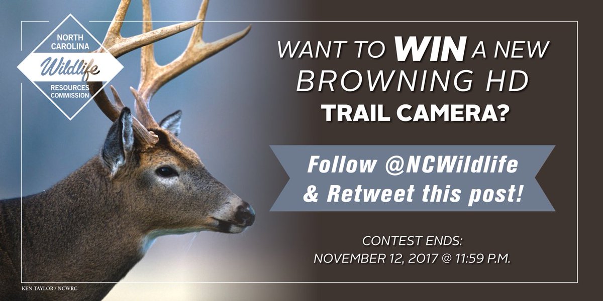 NCWildlife's tweet photo. Follow @NCWildlife &amp; RT this post for a chance to WIN a @BrowningArms trail camera.

*Contest ends November 12 @ 11:59 p.m. https://t.co/nf8VuhX7oF