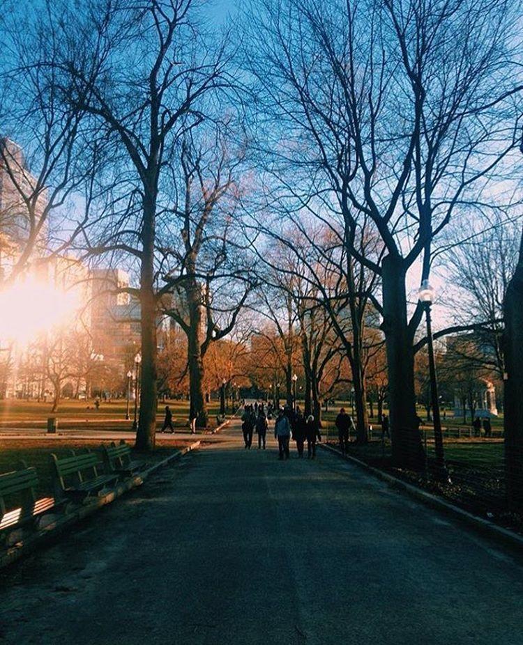Fall was made for cool walks through the Boston Common.

📷: mayblake_