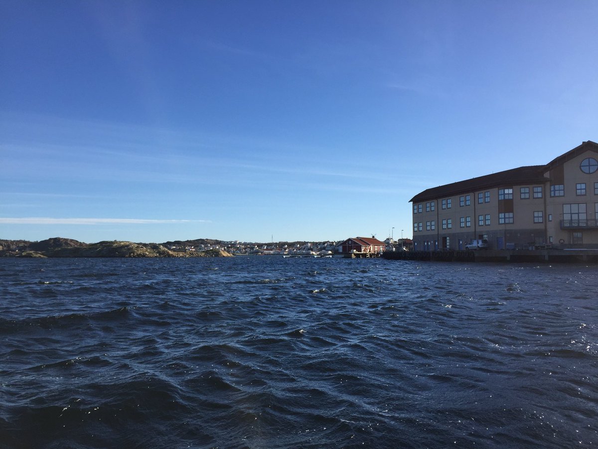 Seagrass_Sthlm_Uni tweet media