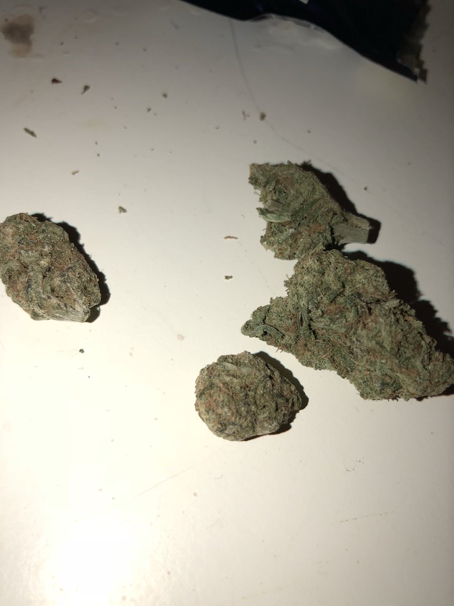 TheRealGottiRay's tweet photo. 4 Gs Cooooach #weed #blunt #bigblunts #idc #fuck12 #weefer #grass #bigclouds #joints #blunts #smokeweed #smoked #smoke #gas #4gs #backwood https://t.co/7JmBCsviCm