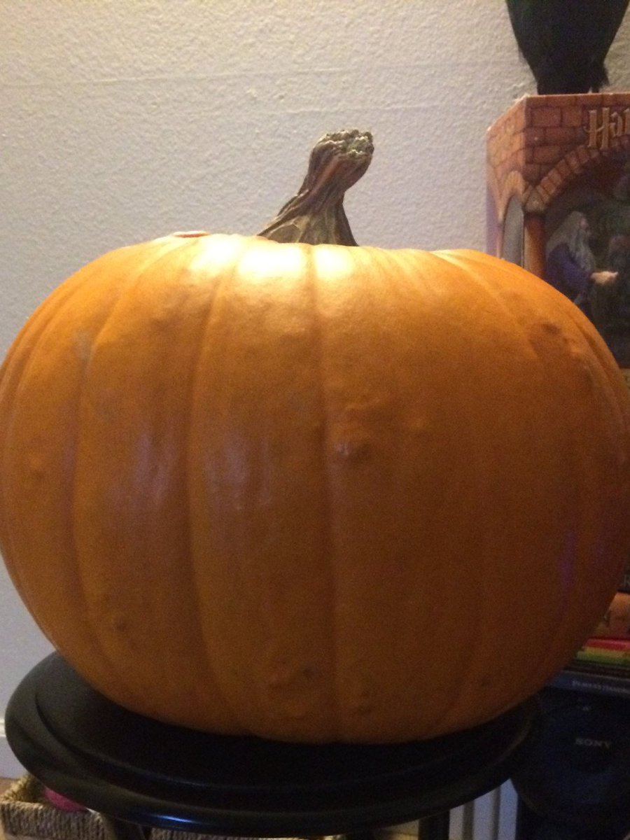 EmmaLeahLange's tweet photo. DIY pumpkin! Leave a comment telling me how you carved/decorated a pumpkin this fall! https://t.co/G54DOnekR7 https://t.co/wOtGWSdcaK