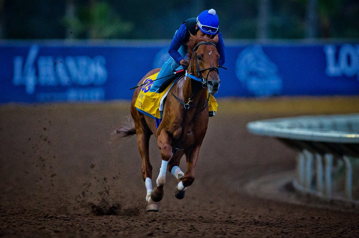 A_Evers's tweet photo. Gun Runner has his final tune up early this morning @DelMarRacing https://t.co/dbFULZtfRB