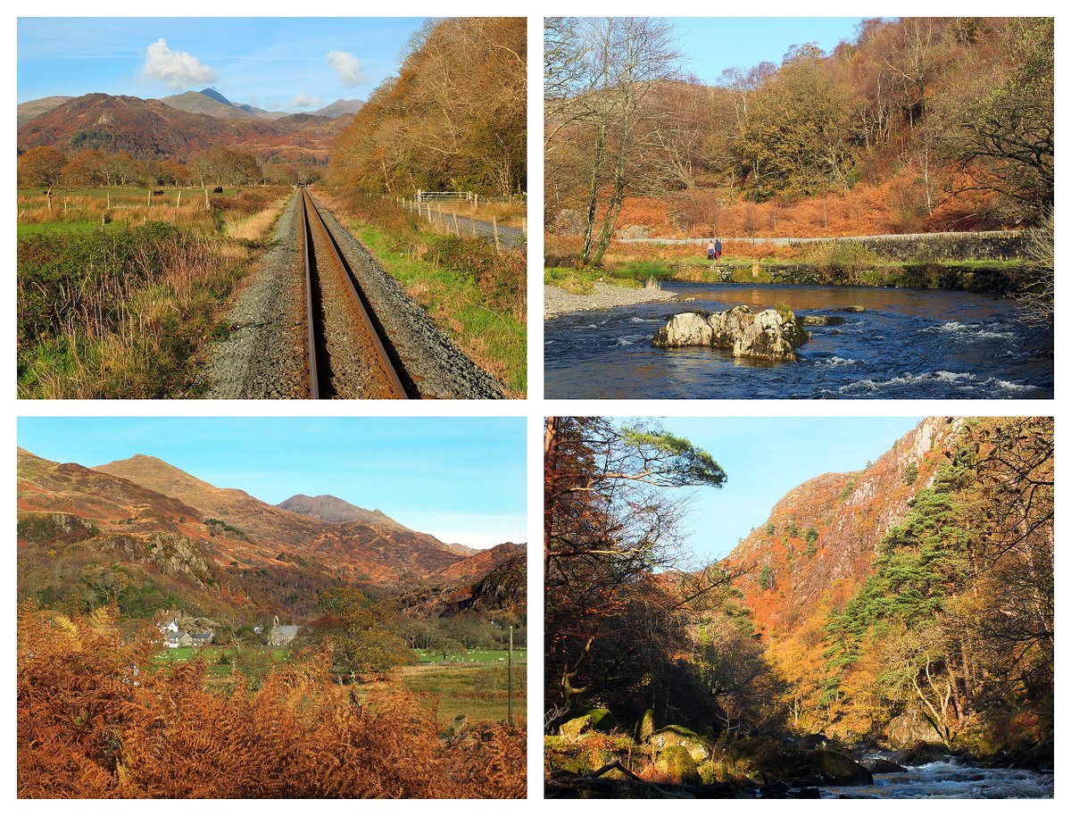 AUTUMN GOLD on the F&amp;WHR...
Come for a scenic journey through the heart of Snowdonia's magical landscape - we'd love to see you here..!