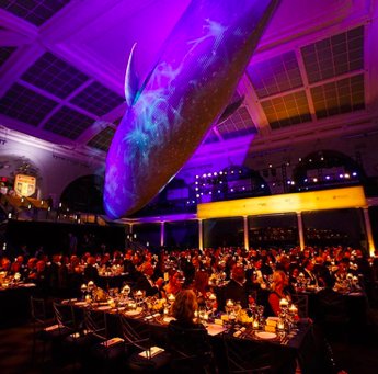 CxRA_nyc's tweet photo. Let us make your dream come true. #perfectispossible
#repost @RubyStoneEvents https://t.co/hN5ncMDfTi