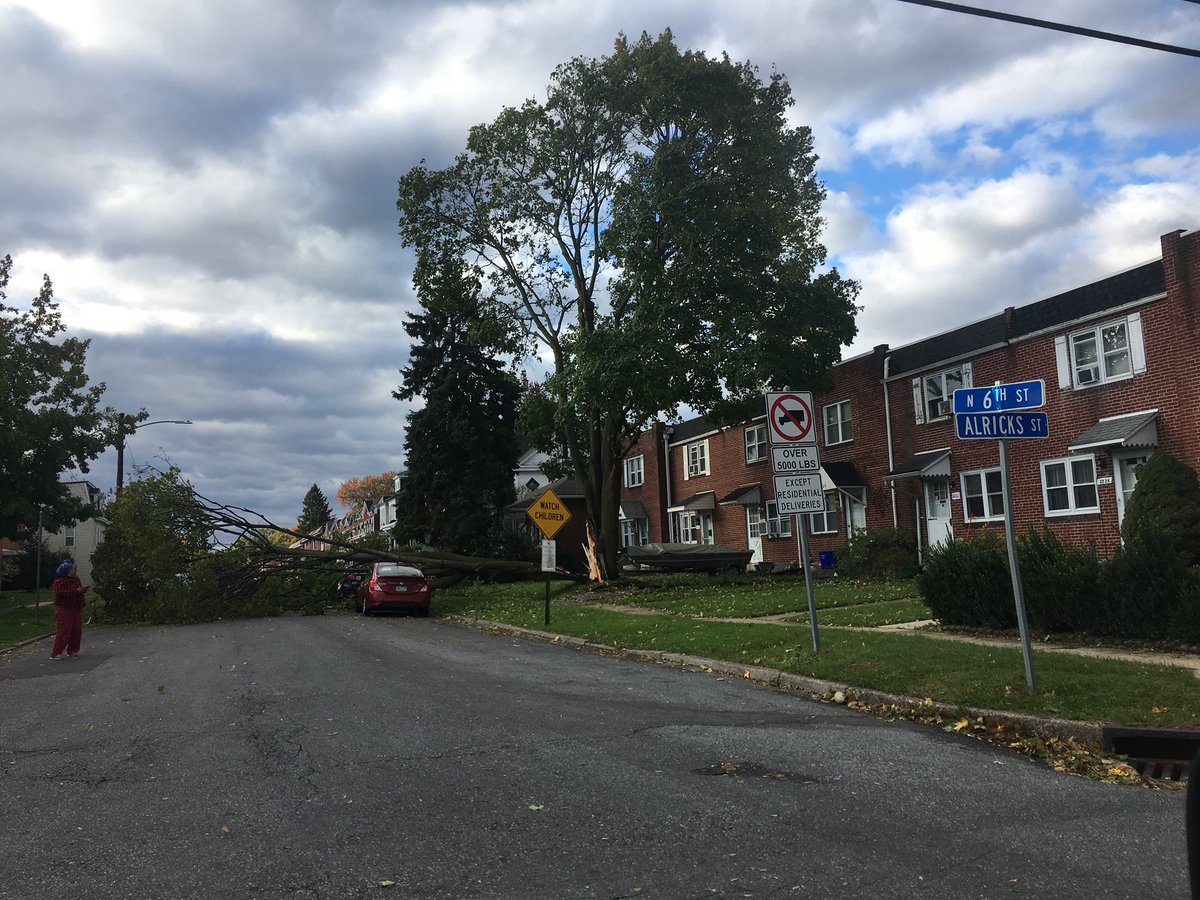 amandaaugust27's tweet photo. A tree fell on a car that was less than a week old overnight in uptown Harrisburg https://t.co/zUKtIIhAt7