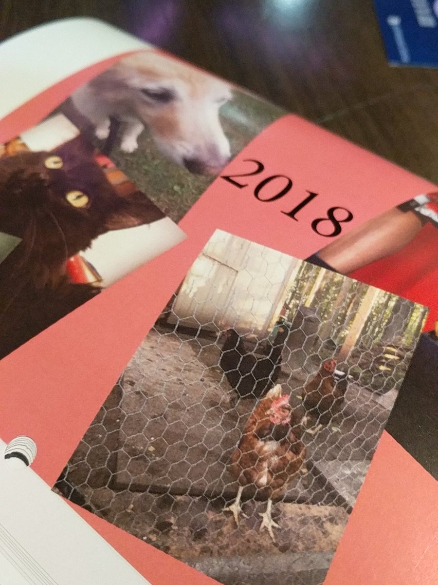 RabbitRichards's tweet photo. if you didn't have a chance to get your poet pet calendar at #CFSW2017, they're available through me. https://t.co/IO2NvZuNcA