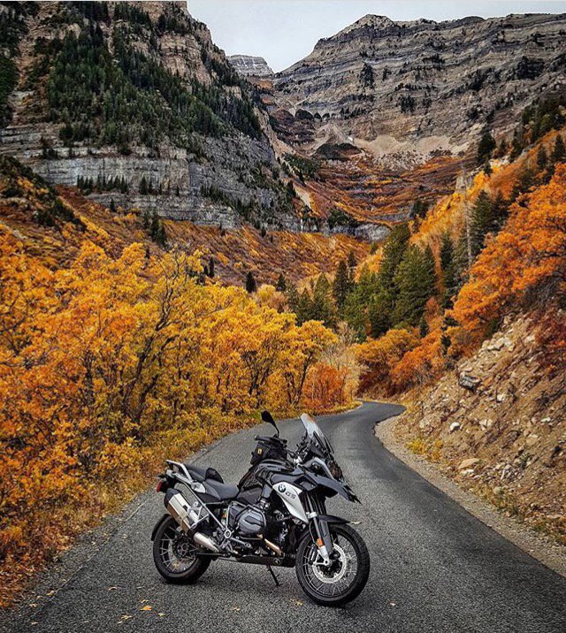 Fall is in full bloom