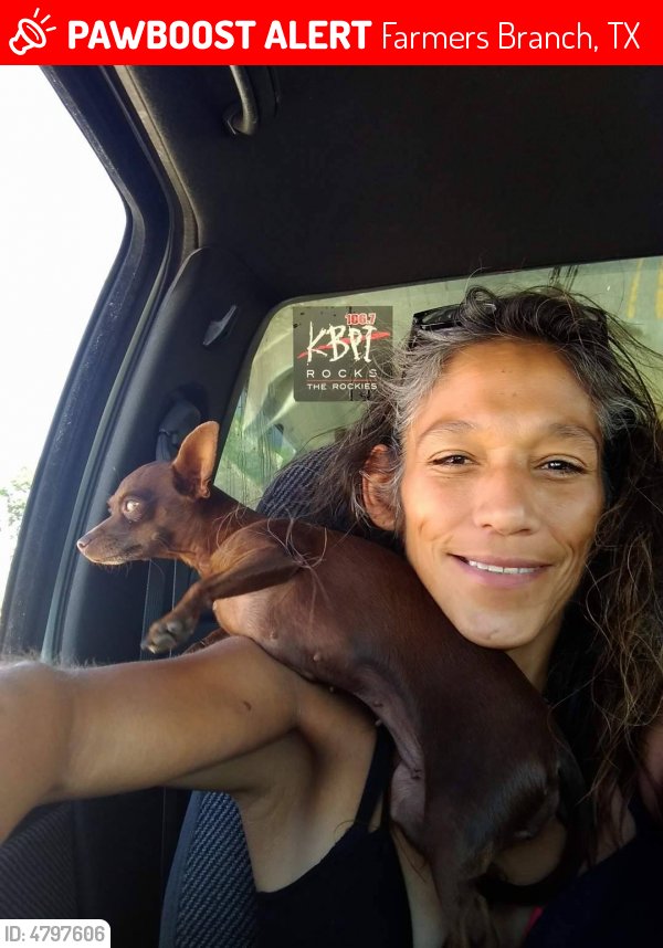 LostPetsDallas's tweet photo. Please RT! Have you seen Mickaelah? #missing #lost #pet in #Dallas #TX 75234 https://t.co/yFAIfJadHD https://t.co/S7ogFD7uJY