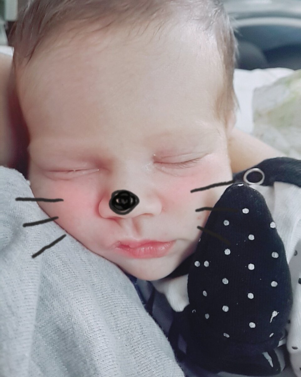 natidelcontte's tweet photo. Ay mi porotito hermoso 😻 https://t.co/S4x6iRfIM5