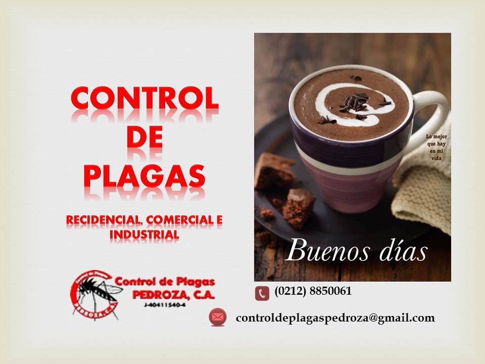 inmosoracar's tweet photo. https://t.co/tK50SJorkr