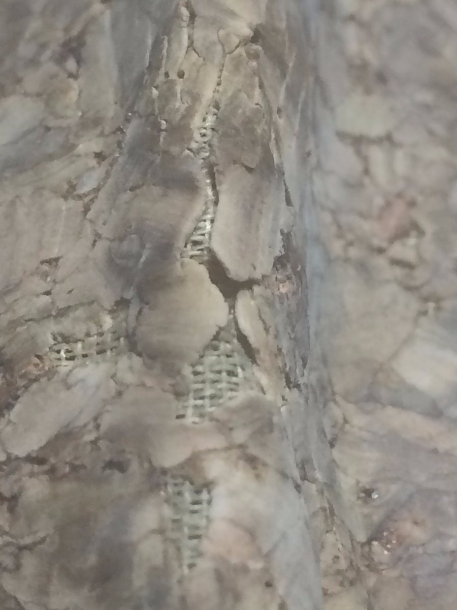 shangolos's tweet image. Wallets from @coraturefashion fall apart in under a year. Tried repeatedly for a warranty replacement but they keep blowing me off.