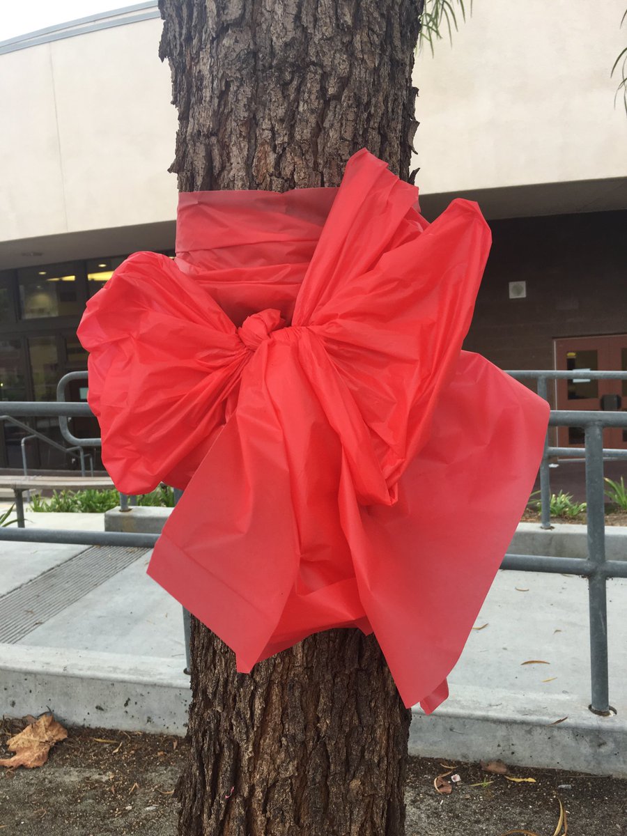 MumbyLisa's tweet photo. Solana Pacific thanks its parent volunteers for getting to school bright and early this morning to decorate for RRW. ❤️ @SolanaPacific https://t.co/bpwzpZIpqz