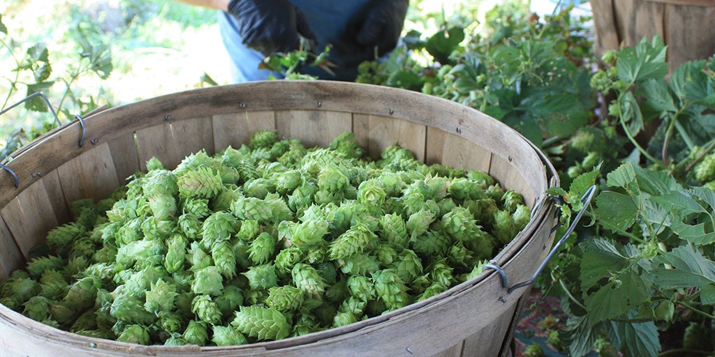 BrewersAssoc tweet picture