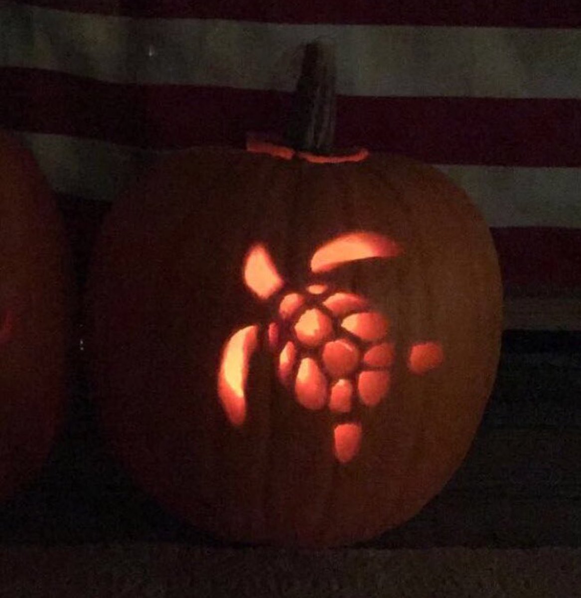 MakaiClothingCo's tweet photo. You know Halloween is almost here when you start seeing #MakaiPumpkins 🎃🐢👻🙌 https://t.co/bK4qeX6Kim