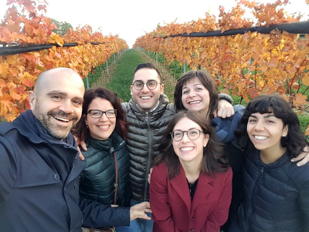 TheWineLabEU's tweet photo. @UniMC students &amp; Prof. Dr. @Alecavicchi at organic grapevines of Austrian family winery Schuster!  #wine #innovation #research #practice https://t.co/H0VsSJTF5U