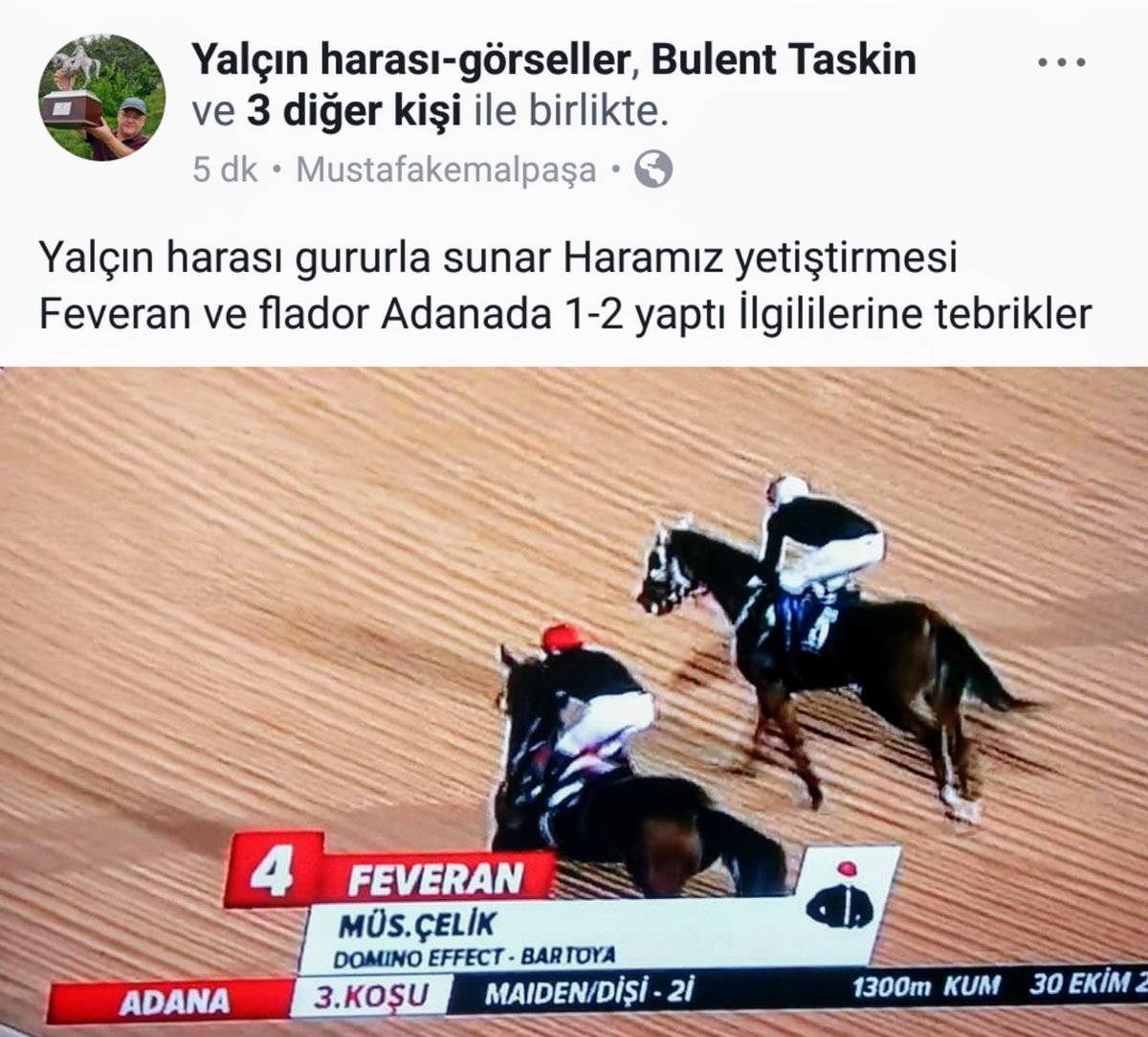 Yalçın harası gururla sunar