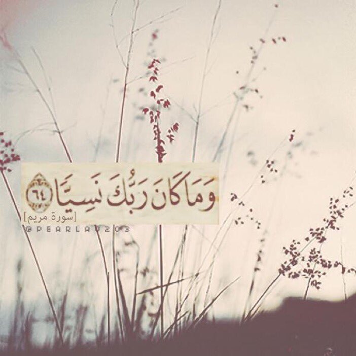 toto431's tweet photo. #الحياه_في_سطر رَحِمَكَ الله يَ أَبّي 🌸 https://t.co/eJ4rJdvzWA