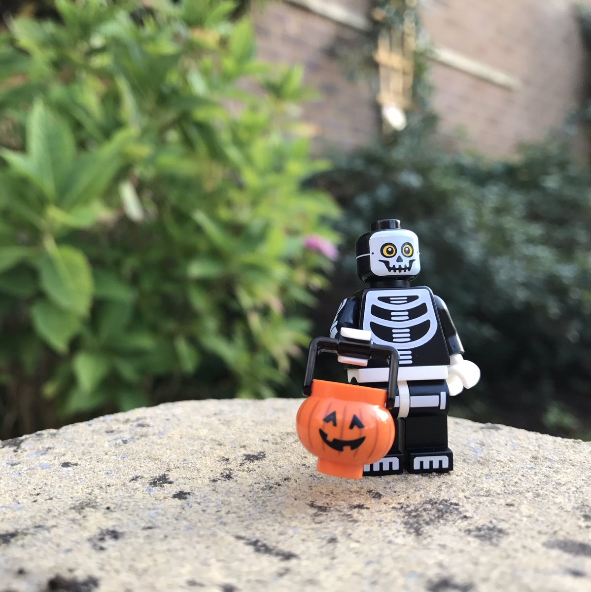 #Lego Hallowe'en getting ready to trick or treat #minifigmonday