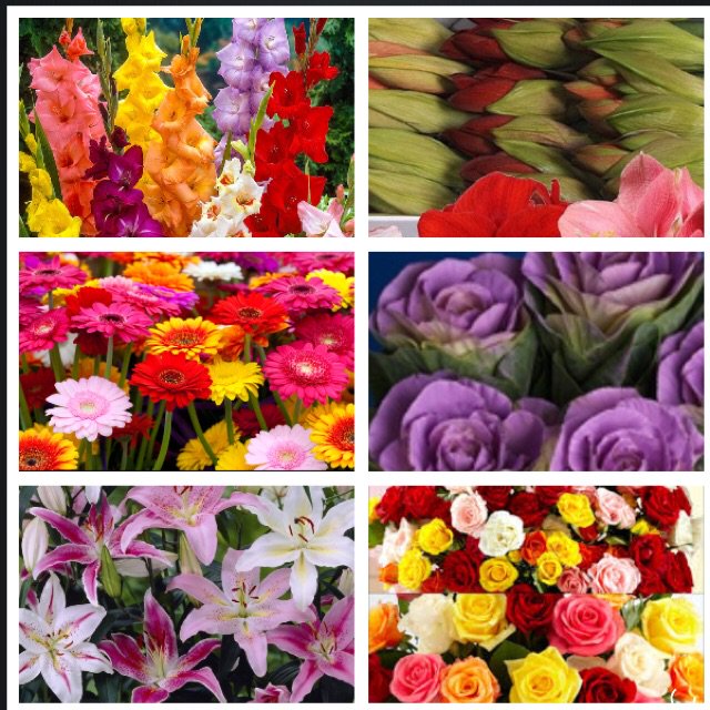 GTF Preston tweet media